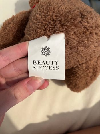 Ours en peluche beauty success