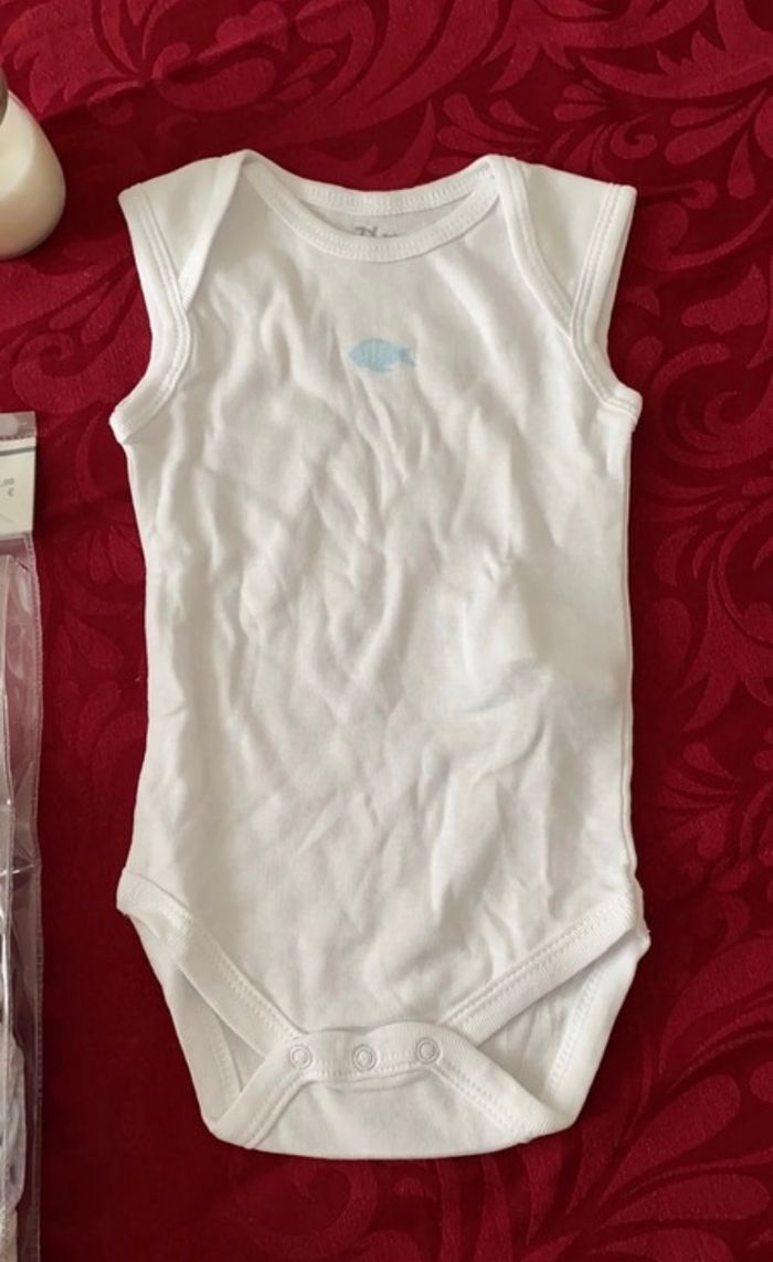 Bodies manches courtes - photo numéro 4