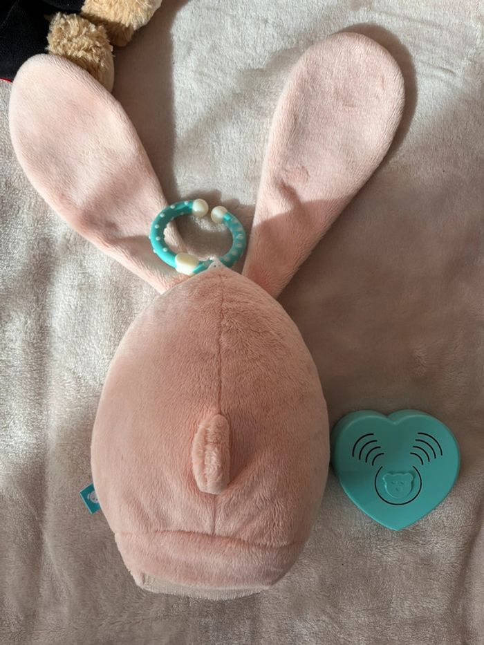 My hummy rose - photo numéro 3