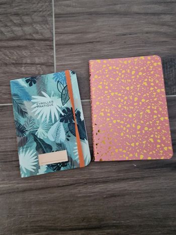 Lot de 2 carnets