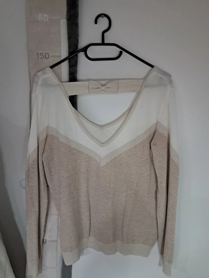 Magnifique pull - photo numéro 5