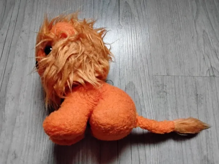 Lion 🦁 - photo numéro 2