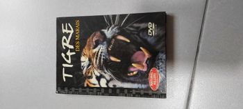 Tigre des marais DVD