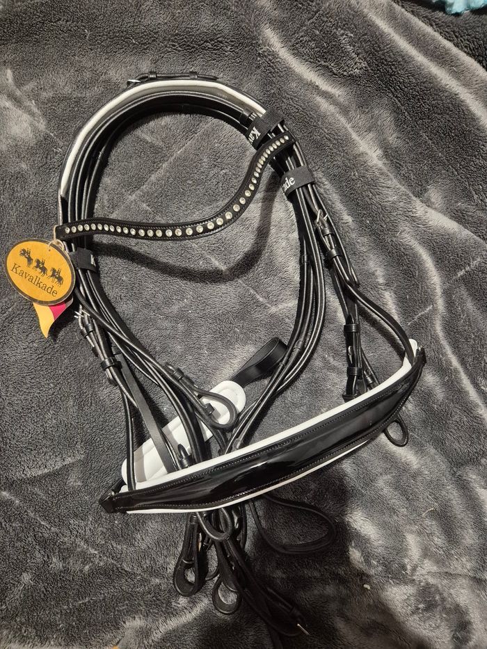 Double Bride dressage kavalkade