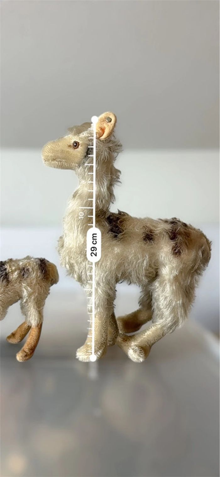 Steiff Lama/ Alpaga - photo numéro 3