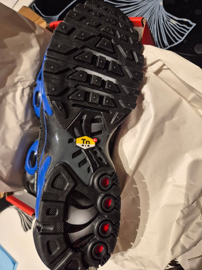 Tn 44 grise - photo numéro 5