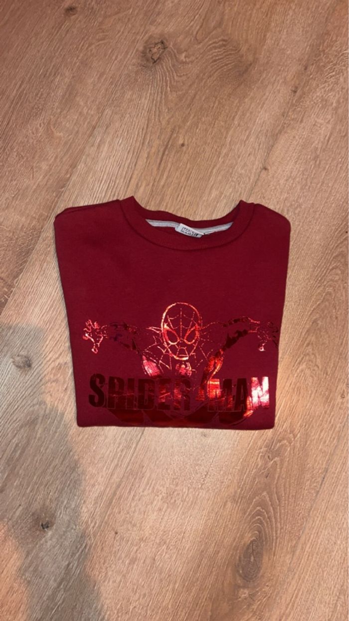 Sweat spider man - photo numéro 2