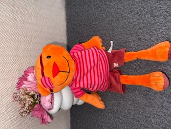 Doudou pirate