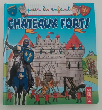 Pour les enfants Châteaux forts
