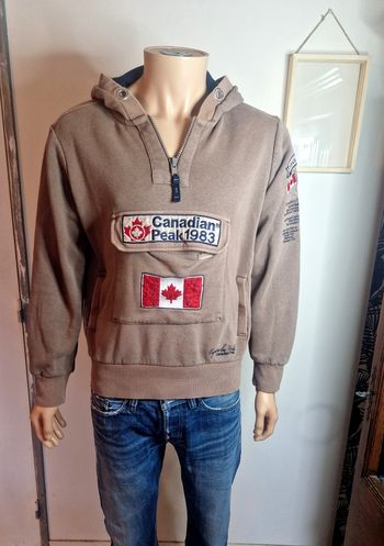 Canadian peak Sweat à capuche Taupe Expedition Homme L Sportswear