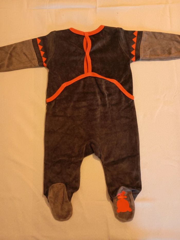 Grenouillère - photo numéro 2