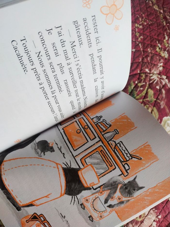 Roman Dr Kitty Cat. Les delices de Lilas - photo numéro 3