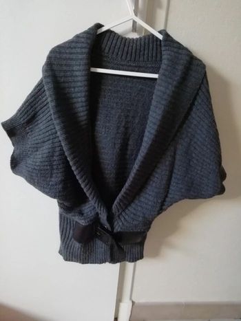 Gilet gris