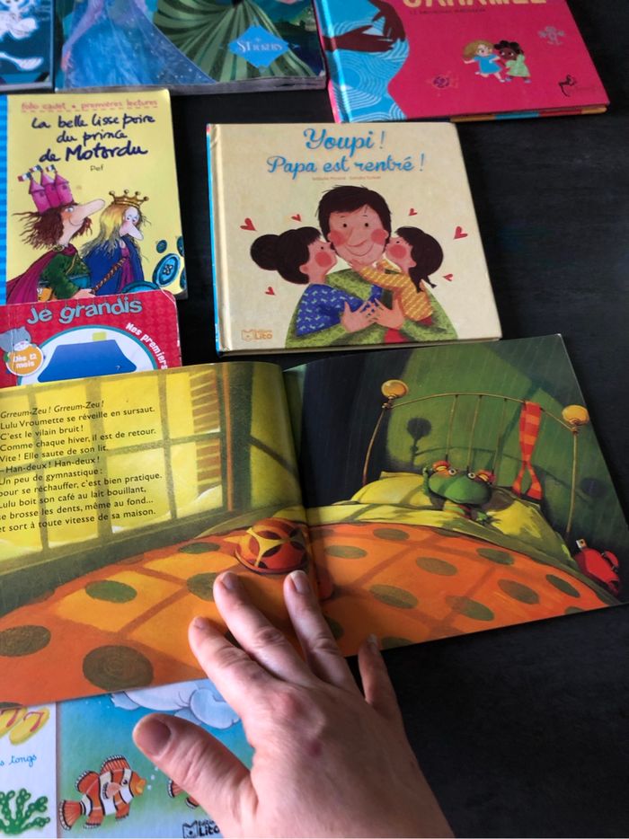 Lot de livres - photo numéro 8