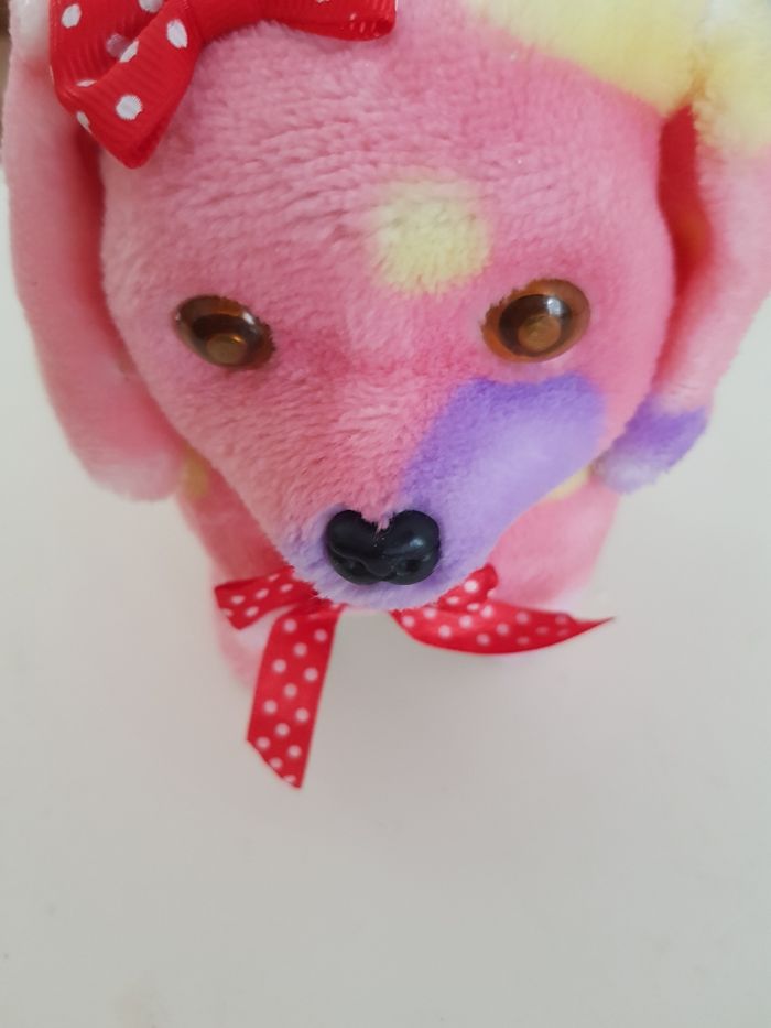 Chien à piles