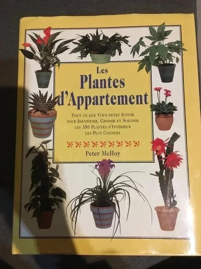 Les plantes d'appartement état neuf