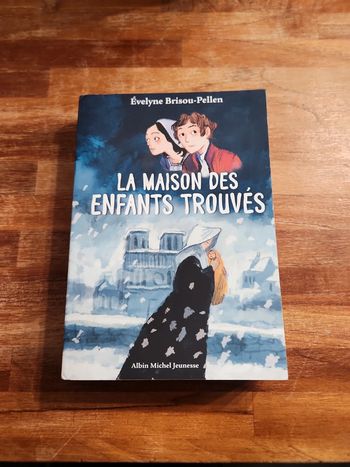 Livre : La maison des enfants trouvés