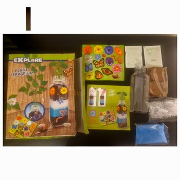 Terrarium Plants Neuf