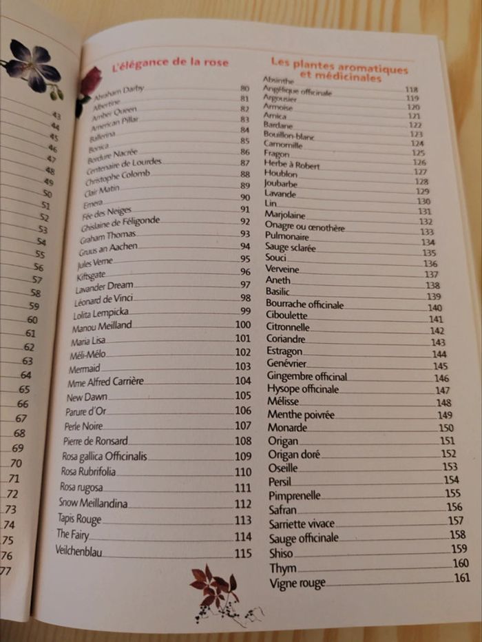 La petite encyclopédie de mon jardin 🌸 - photo numéro 4
