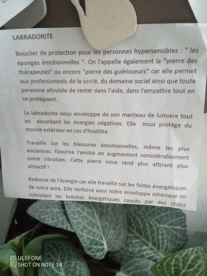Collier bohème protection coeur de labradorite - photo numéro 3