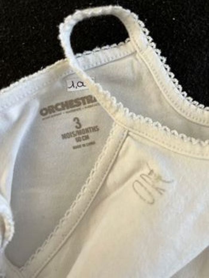 Bodie 3 mois - photo numéro 4