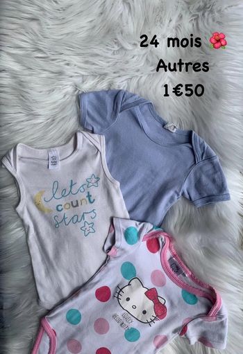 Lot de bodys 🌺 24 mois 🌺 Autres