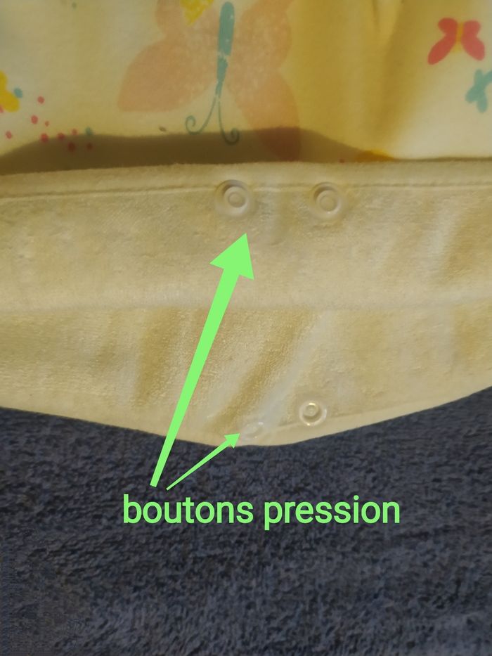 Protections nuit Chat x3 - photo numéro 5