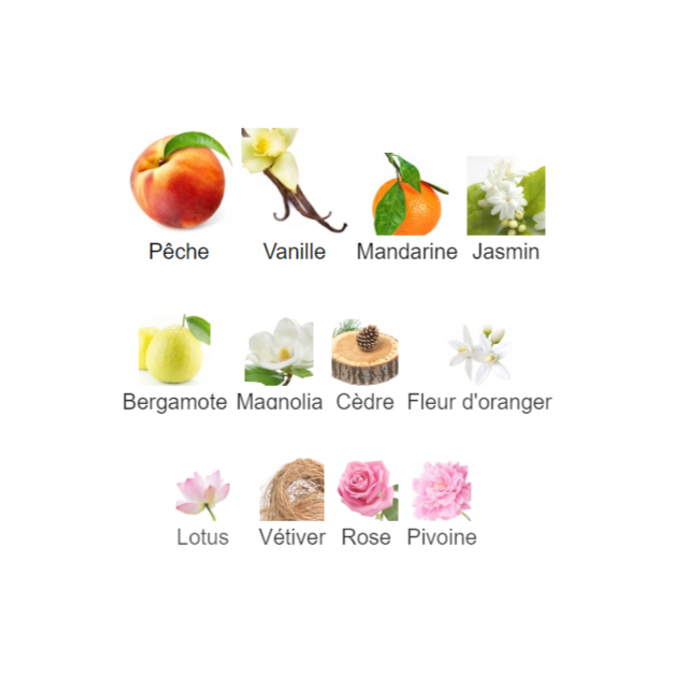 Aurelie "inspi CC Allure Femme " Eau De Parfum femme 100ml - photo numéro 4