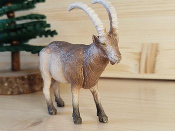 Schleich bouquetin Figurine Animal de la montagne