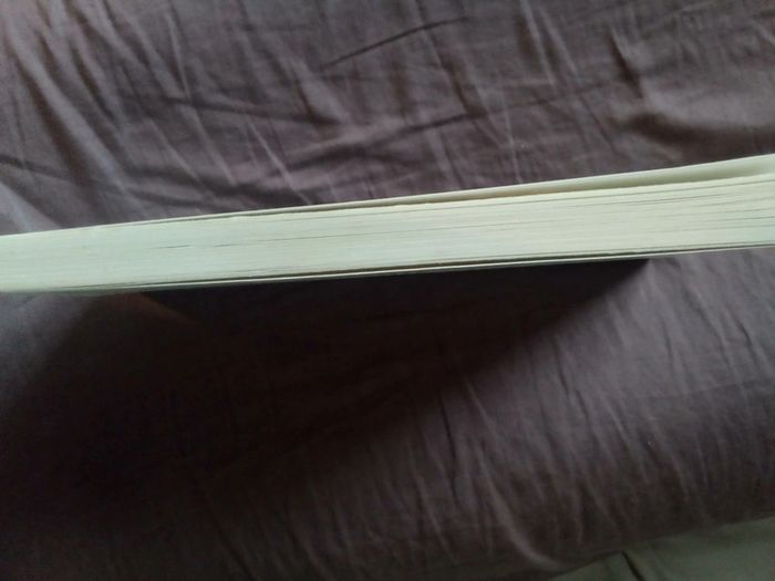 Livre Le scaphandre et le papillon - photo numéro 4