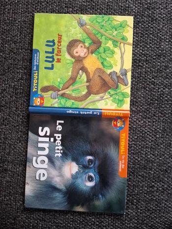 Livre Le petit singe en bon état