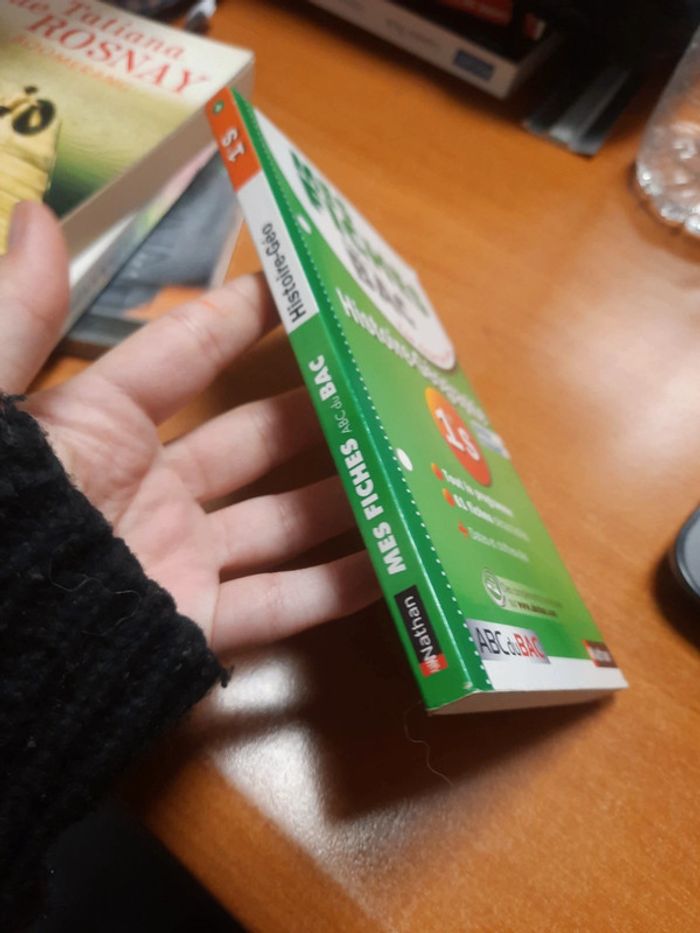 Fiche bac1er s histoire géographie - photo numéro 2