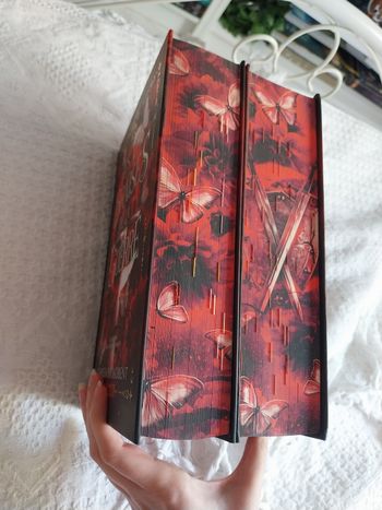 Romans La Guerre des Coeurs Égarés tomes 1 et 2 Les Braises de la guerre reliés collector jaspage Carissa Broadbent