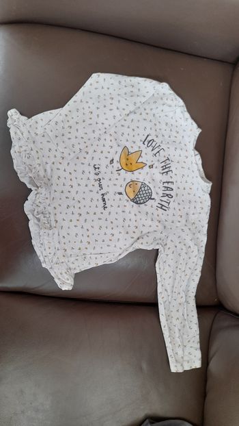 Tee shirt manches longues nature