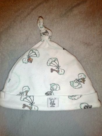 Bonnet Disney
