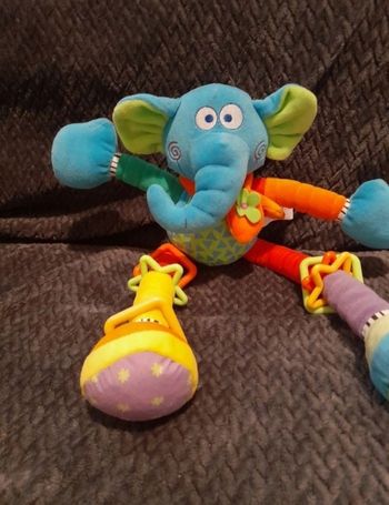 Elephan fou
