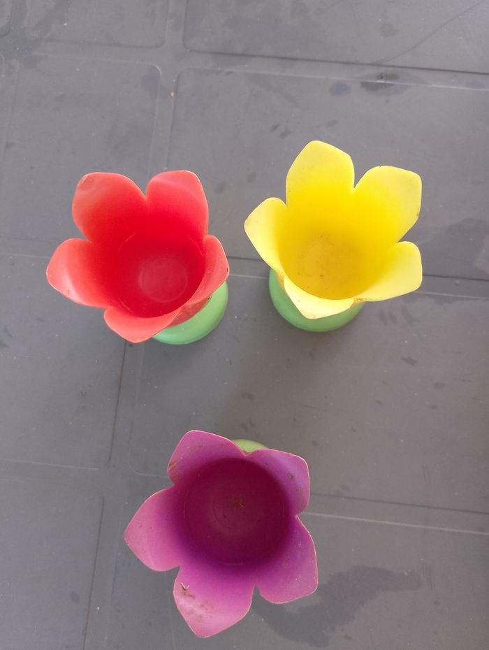 Trois coquetiers fleurs