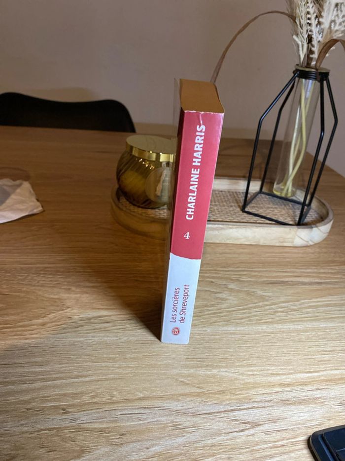 La communauté du sud - photo numéro 3