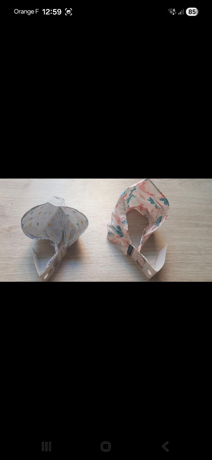 Fichus - photo numéro 2