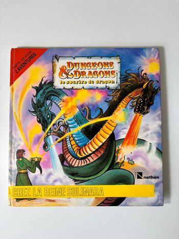 Dungeon & dragons le sourire du dragon , chez la reine sulinara . Livre DR , Nathan