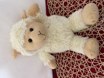 Peluche Agneau Aroma Home Hot Hugs