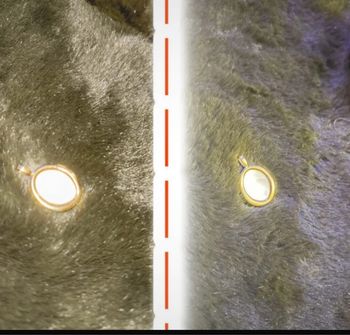 Pendentif en acier inoxydable