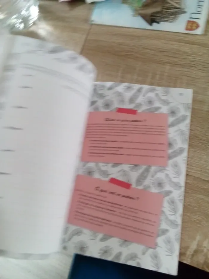 Lâcher prise revue numéro 8 - photo numéro 7