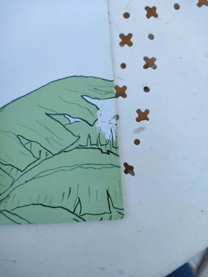 Livre sauve-souris - photo numéro 4