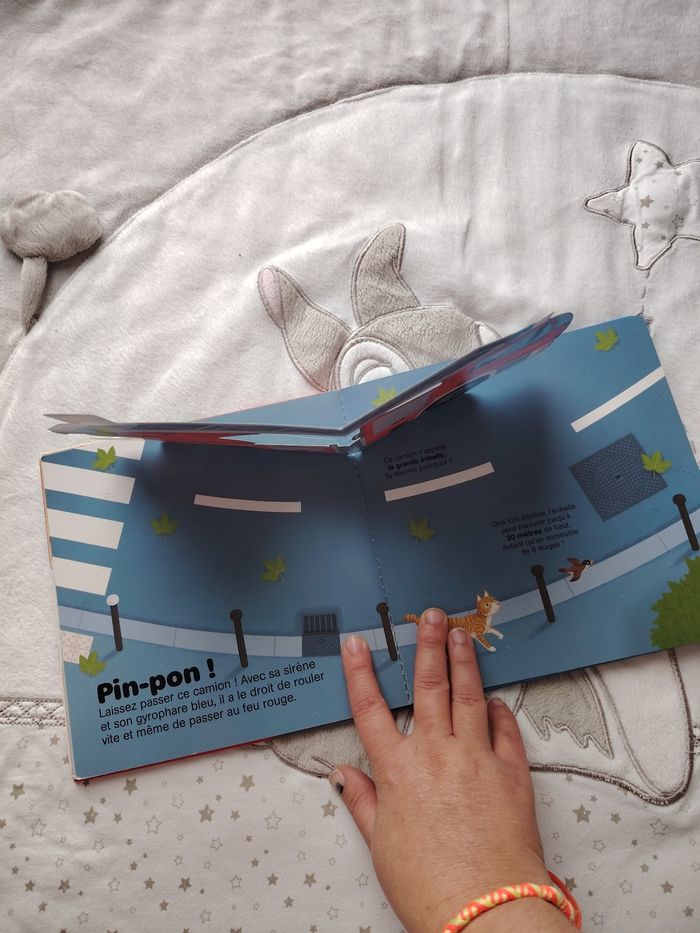 Livre pompier - photo numéro 3