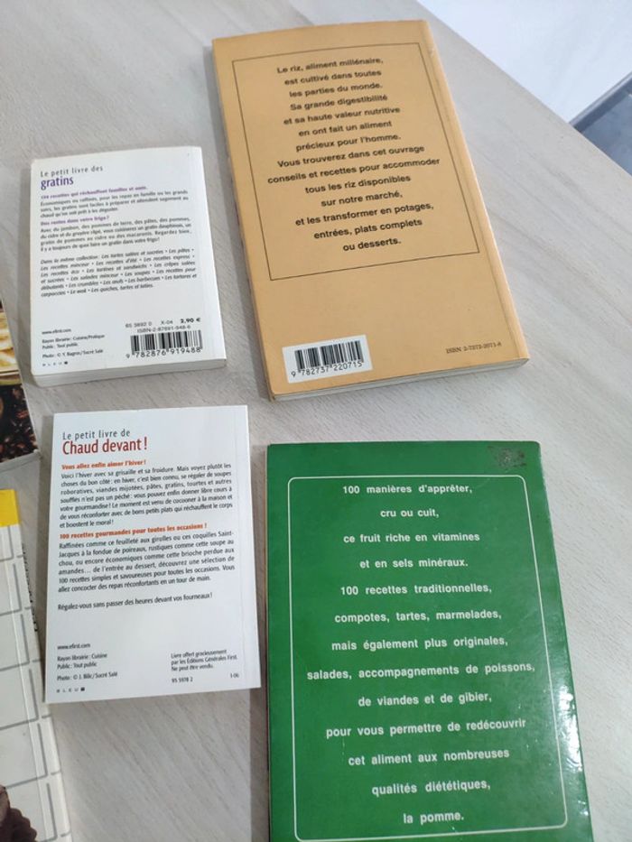 Lot 6 livres cuisine recettes pommes riz desserts fondues raclettes gratins - photo numéro 6