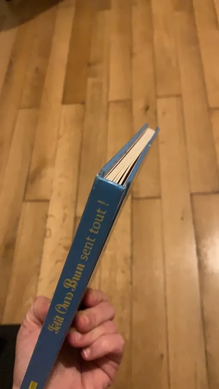 Livre petit ours brun sent tout - photo numéro 5