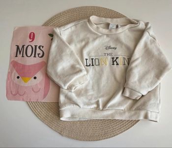Pulls bébé, garçon, taille neuf mois de la marque Disney 