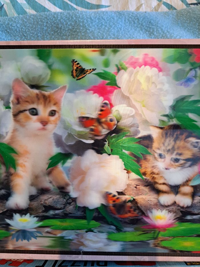 Puzzle enfant - photo numéro 2