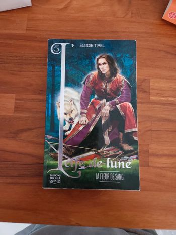 Livre : L'Elfe de lune